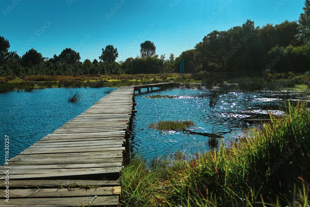 Fototapeta premium wooden bridge over the river