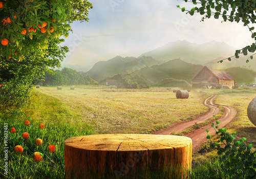 Tree trunk wood Podium display for food and other products on nature farm house background, grass and Orange tree, Sunlight at morning	

