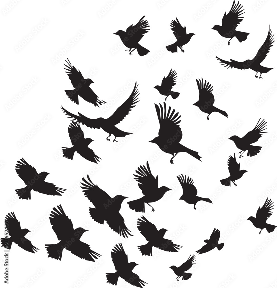 Set of birds Silhouette vector Set of birds Silhouette vector