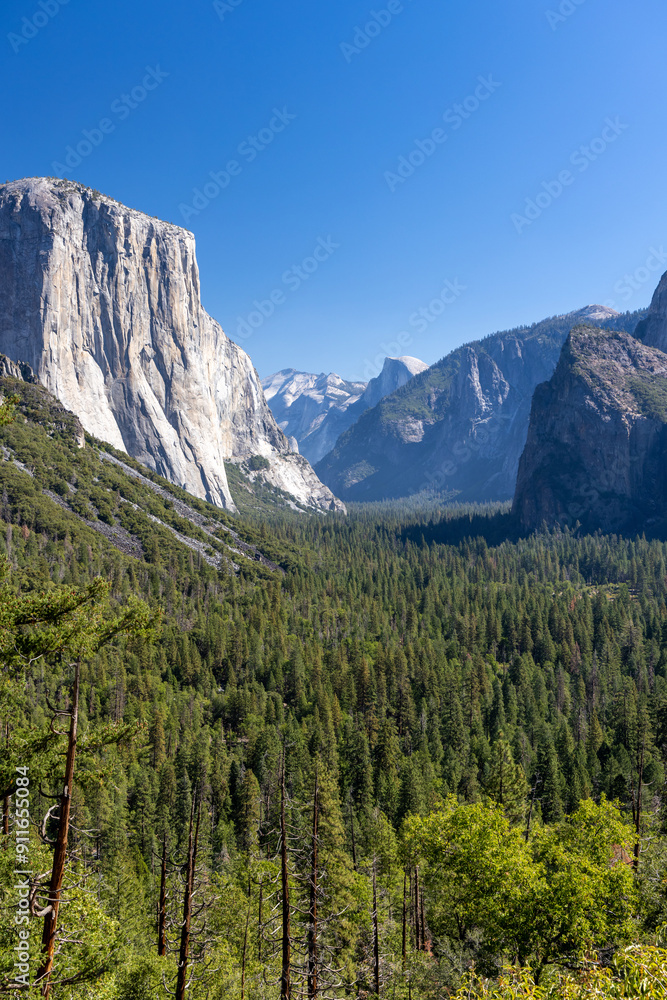 Fototapeta premium El Capitan mountain in Yosemite National Park