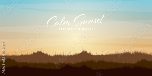 Meadow silhouettes with grass. Countryside, panoramic summer lawn rural landscape with herbs, weeds. Agriculture and farming. Summer sunset in nature, wildlife. Vector illustration