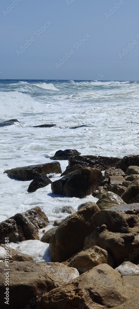 Naklejka premium Varna sea and nature in Bulgaria