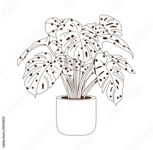 Plantas de casa Monstera. Vector con contorno de planta en maceta. Flor interior de arte lineal en una maceta. Doodle sketch planta de la casa en una olla para la decoración del hogar. Eleme