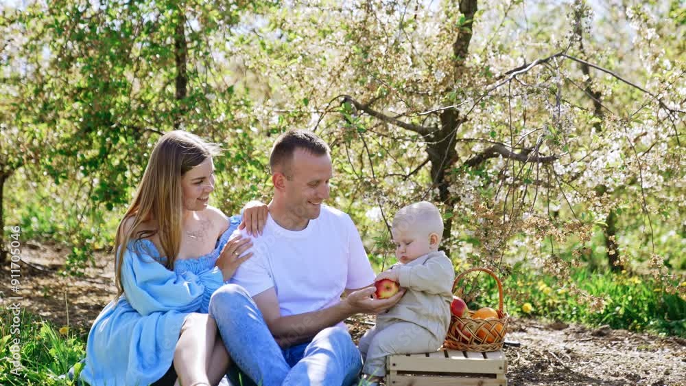 Parents and their adorable baby sitting in the garden. Daddy gives an apple to his son sitting on the crate. Parents and their adorable baby sitting in the garden. Daddy gives an apple to his son sitting on the crate.