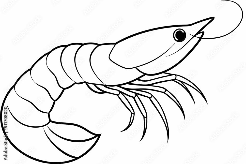 shrimp line art vector , shrimp icon vector, Sea lobster
shrimp line art vector , shrimp icon vector, Sea lobster