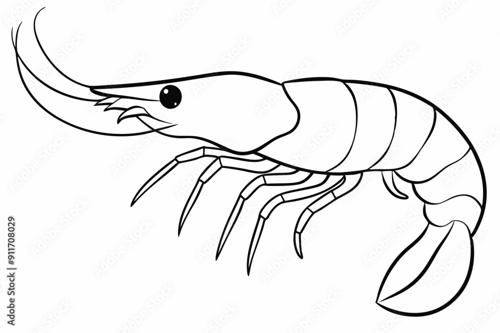 shrimp line art vector , shrimp icon vector, Sea lobster
shrimp line art vector , shrimp icon vector, Sea lobster