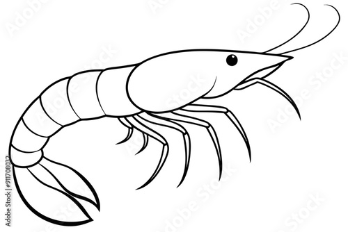 shrimp line art vector , shrimp icon vector, Sea lobster	
