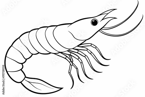 shrimp line art vector , shrimp icon vector, Sea lobster	
