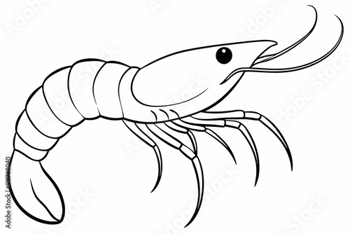 shrimp line art vector , shrimp icon vector, Sea lobster	
