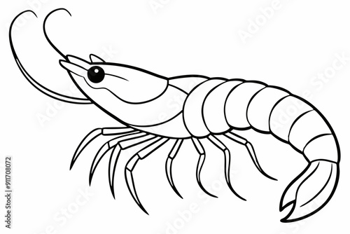 shrimp line art vector , shrimp icon vector, Sea lobster	
