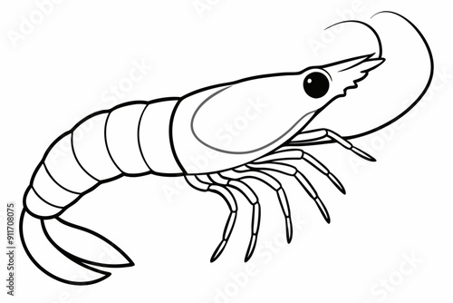 shrimp line art vector , shrimp icon vector, Sea lobster	
