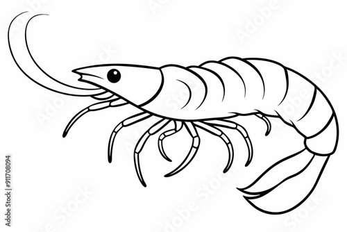 shrimp line art vector , shrimp icon vector, Sea lobster	
