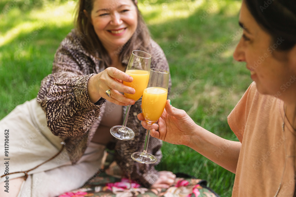 Friends Toasting with Orange Juice at a Summer Picnic in the Park
Friends Toasting with Orange Juice at a Summer Picnic in the Park