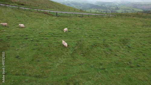 Aerial video over sheep at Cadair Machynlleth UK photo