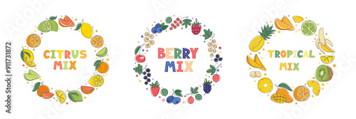 Citrus Tropical Fruit and Berry Round frames set. Abstract fruits illustration. Fresh Healthy Food circle background. Template for Package, Label, banner, menu design. Vector illustration