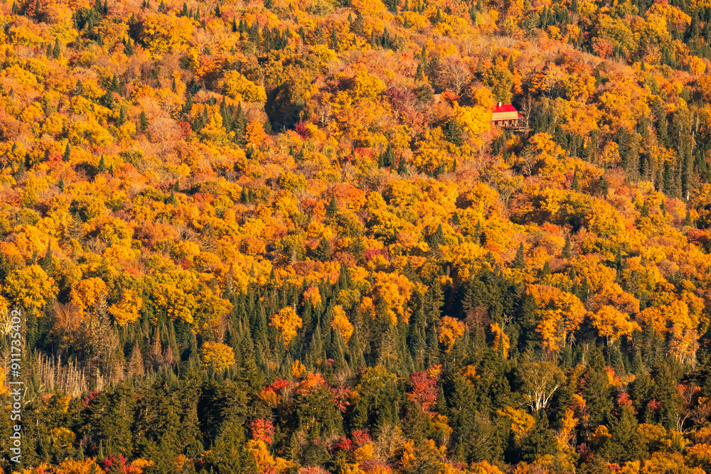 Multicolored trees during the Indian summer in Mont Tremblant, Quebec, Canada Multicolored trees during the Indian summer in Mont Tremblant, Quebec, Canada
