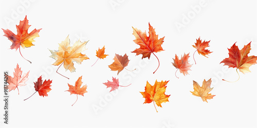 a background of maple leaves on a white background