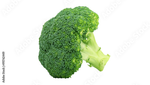 Organic Fresh broccoli isolated on white background. photo