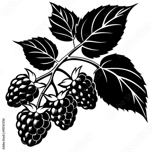 Fresh Blackberries on the Tree