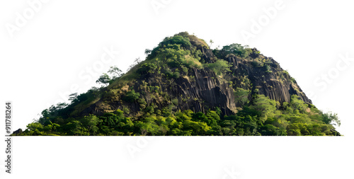 rock mountain hill with green forest isolate on white background photo