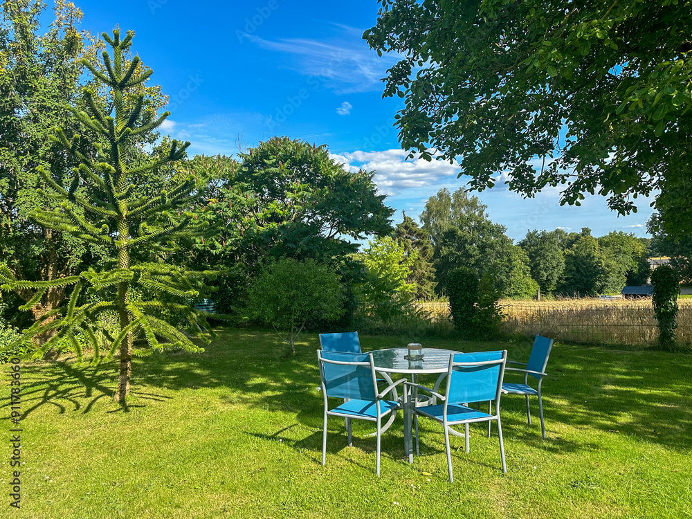 table and chairs in a garden. Summer garden landscape in France. Light blue chairs and a glass table on the green lawn. Evergreen tree Araucaria araucana known as the monkey puzzle tree table and chairs in a garden. Summer garden landscape in France. Light blue chairs and a glass table on the green lawn. Evergreen tree Araucaria araucana known as the monkey puzzle tree