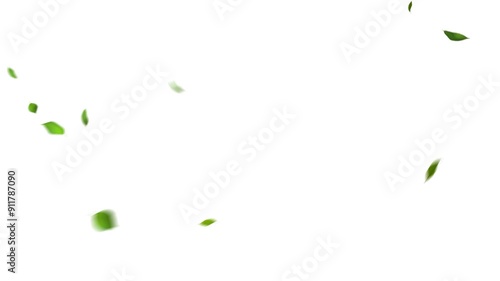 風に吹かれて舞い落ちる緑の葉っぱ（背景にアルファチャンネル付き）Green leaves