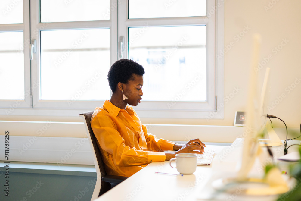 Female Entrepreneur Working On Computer In Office Female Entrepreneur Working On Computer In Office