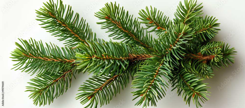 Pour Noël, un gros plan sur un sapin épicéa vert, ses aiguilles résineuses décorées, révèle la magie de la saison hivernale en forêt. Pour Noël, un gros plan sur un sapin épicéa vert, ses aiguilles résineuses décorées, révèle la magie de la saison hivernale en forêt.
