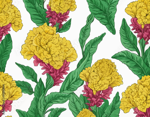 Vector outline yellow Celosia crisrtata or Cockscomb flower and ornate green leaves isolated on white background
