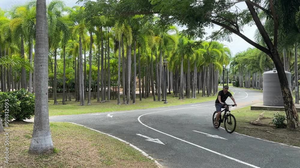 Cyclist in Palm Tree Pathway Cyclist in Palm Tree Pathway
