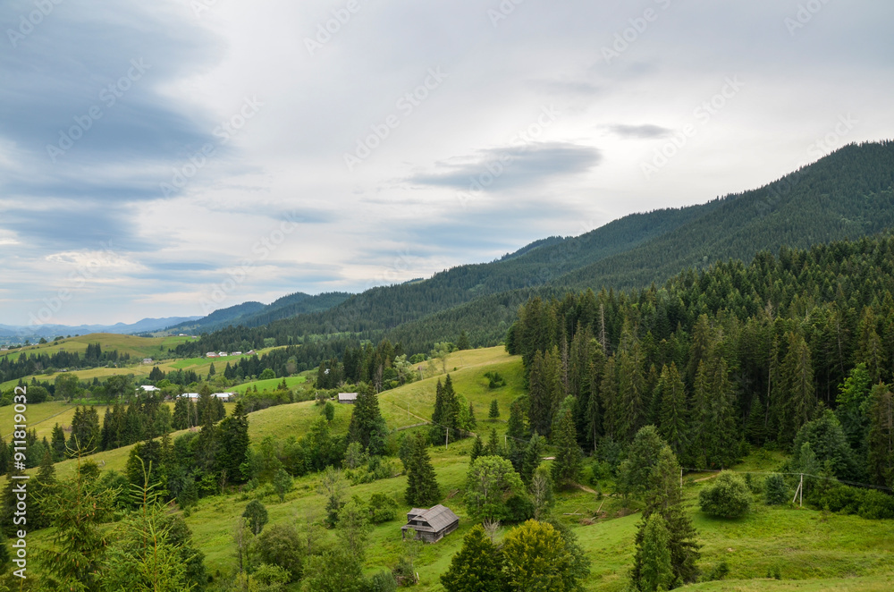 Obraz premium Rolling hills covered in lush greenery, interspersed with dense forests of coniferous trees. The valley below reveals scattered houses, nestled amidst the natural beauty. Carpathians, Ukraine