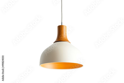 Modern Wooden Pendant Light