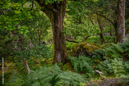 ring of kerry, ireland