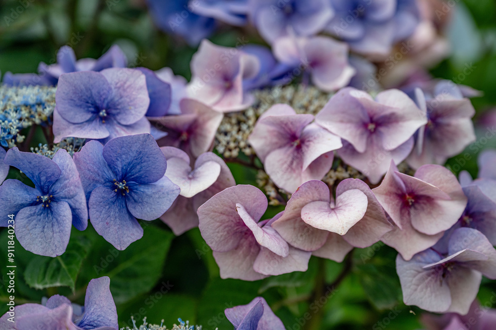 Ring of Kerry, Ireland