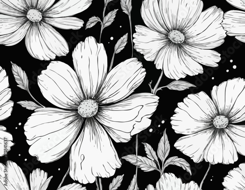 Vector Cosmos floral botanical flowers. Black and white engraved ink art. Isolated cosmea illustration
