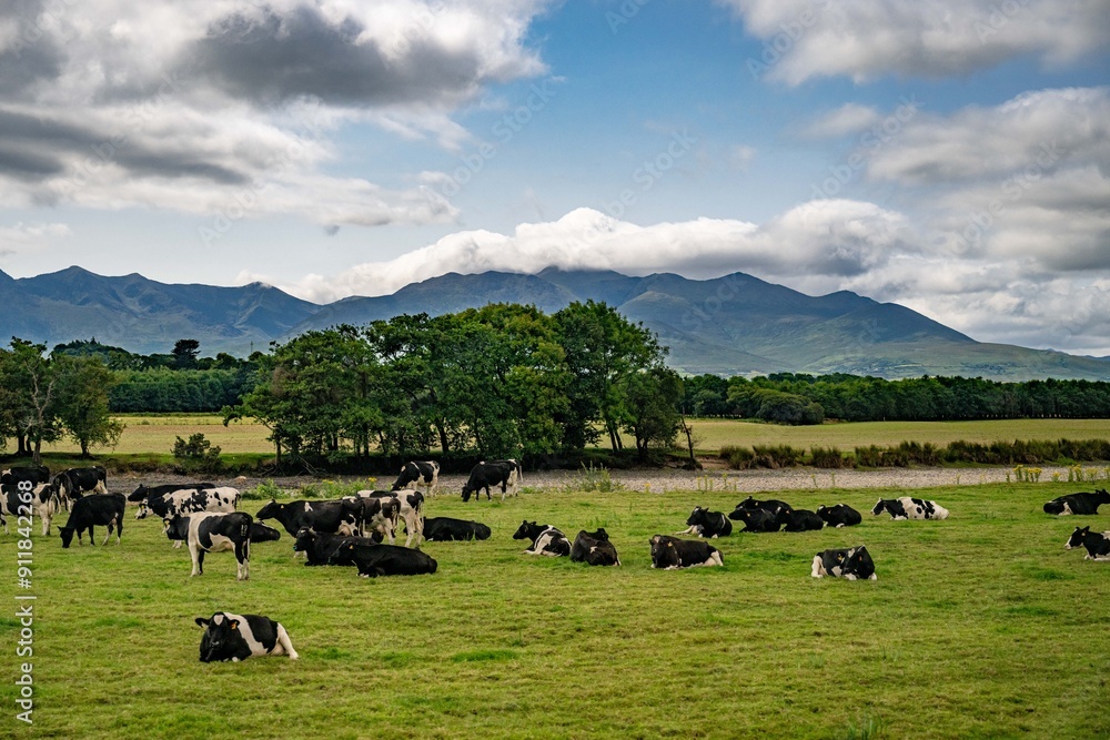 ring of kerry, ireland ring of kerry, ireland