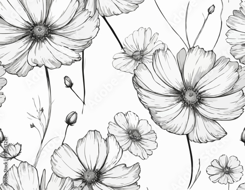 Vector Cosmos floral botanical flowers. Black and white engraved ink art. Isolated cosmea illustration
