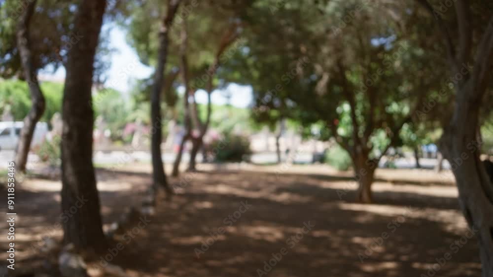 Blurred background of an outdoor scene with bokeh effect, showcasing trees under bright sunlight in a defocused park setting.