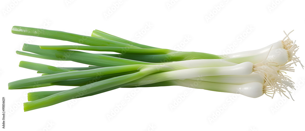 Green onion isolated on a transparent background. Green onion isolated on a transparent background.