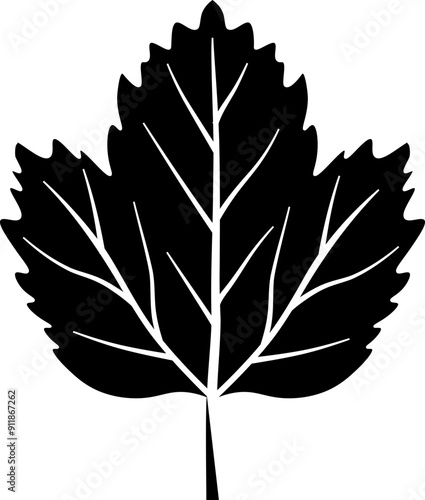 Maple leaf icon. Autumn leaf symbol. Silhouette style.