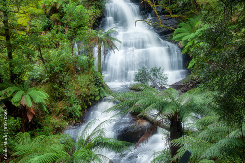 Lush forest with cascading waterfall