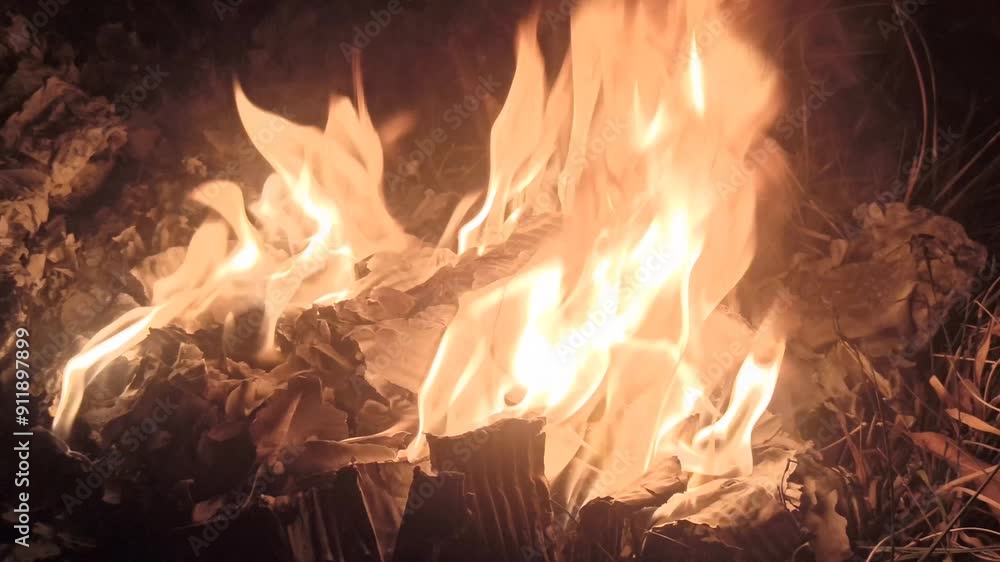 the flame in the night the flame in the night