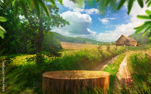 Tree trunk wood Podium as a table display for food and other products on nature farm house background, farm with grass and Sunlight at morning and shaows of the tree falls on the surface of podium	
