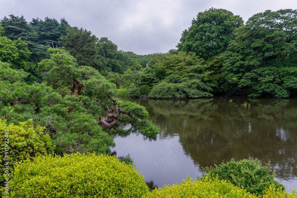 Pond and well manicured vegetation in a Japanese garden Pond and well manicured vegetation in a Japanese garden