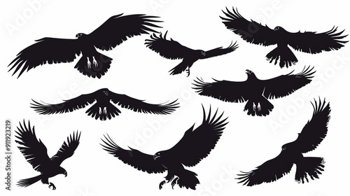 Silhouetted eagles flying in dynamic poses on white