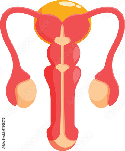Illustration of a uterus with fallopian tubes and ovaries, representing the female reproductive system