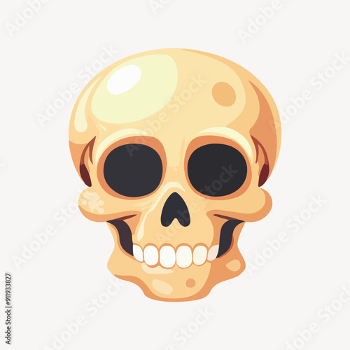 skull illustration vector