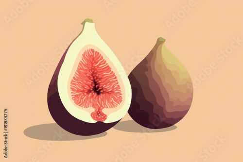 Fresh fig illustration, modern design