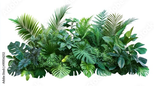 Tropical Greenery Isolated on White Background