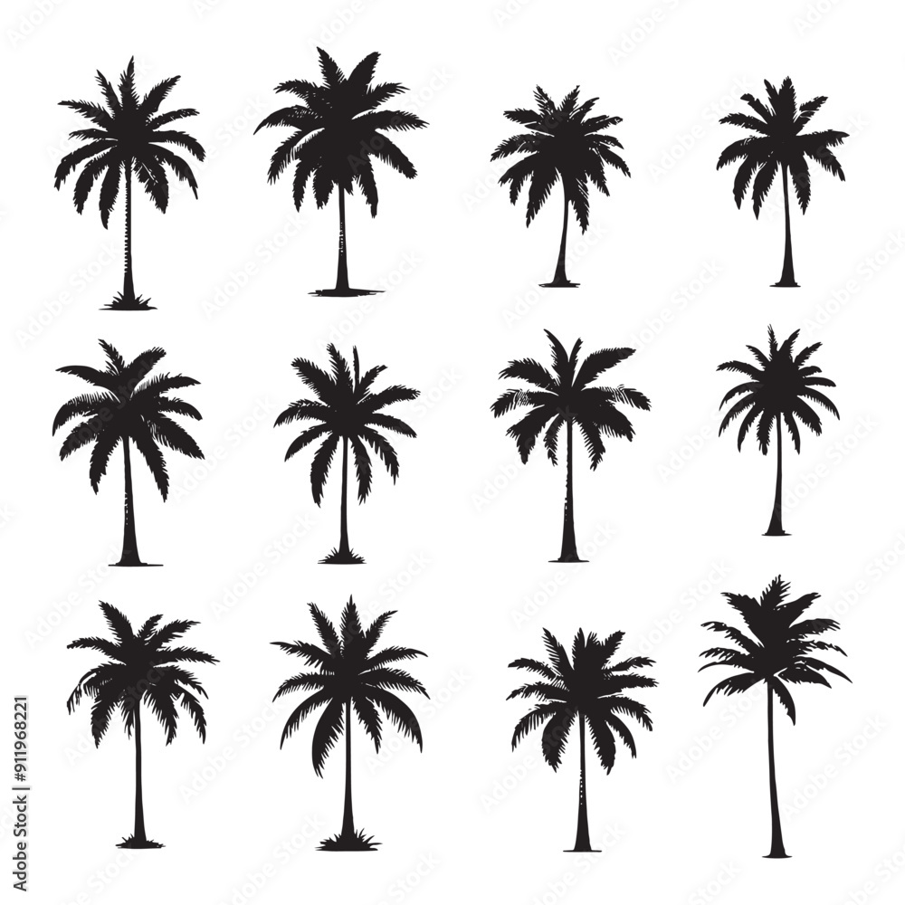Obraz premium set of palm trees silhouettes on white 